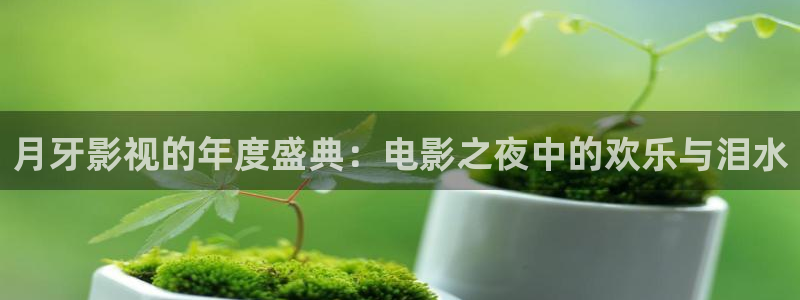 星空电影影院在线观看免费完整版